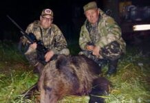 Второго медведя на охоте добыли в Борисовском лесном хозяйстве