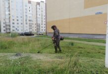 Как в Борисове организован покос травы