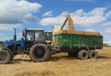 Золото нового урожая: в ООО «Божедары» завершили уборку озимого ячменя