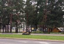 Какие работы на землях общего пользования ведутся сегодня в Борисове