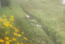 Не ливневка, а канава с водопропускными трубами. В УП «Жилье» прокомментировали видео борисовчанина из соцсетей