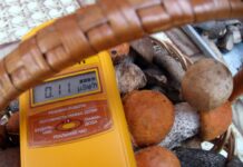 Как осуществляется контроль дикорастущей продукции и продуктов местного улова