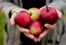 Яблочный Спас. Все, что нужно знать о празднике