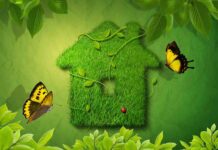 Талантливые юные борисовчане награждены дипломами конкурса «Зеленый дом»