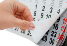 Сколько мини-каникул ожидает белорусов в 2026 году