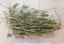 Наркотическое средство обнаружили у жителя Неманицы