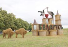 Поля Минщины традиционно украсят соломенные фигуры. В области стартовал смотр-конкурс