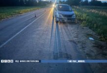 В Борисовском районе водитель совершил наезд на ребенка