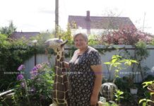 Борисовчанка на приусадебном участке создала своими руками настоящую сказку