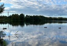 Какой погоды ждать белорусам на выходных, рассказали в Белгидромете