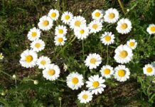 Прощай, лето! Теплые воспоминания и яркие фотографии