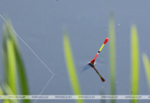 В Беларуси с 1 октября будет введен запрет на лов всех видов рыб на зимовальных ямах