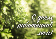 Поздравление Президента Беларуси Александра Лукашенко с Днем работников леса
