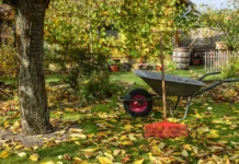 Осенние лайфхаки для дачников: полезные советы