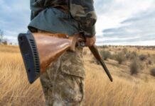 Началось специальное комплексное мероприятие «Охота»