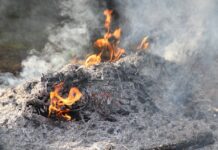 Можно ли сжигать мусор на придомовой территории