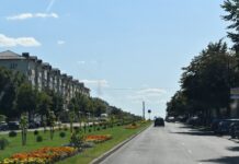 Пешеходы и водители: время научиться уважать правила и друг друга