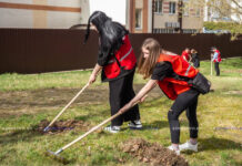 Акция «Чистый двор – комфортная жизнь» пройдет на Борисовщине с 25 по 27 сентября. В чем ее особенность