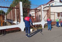 Члены трудовых коллективов предприятий и учреждений по традиции поддержали акцию по благоустройству