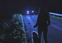 Безопасность на дороге зависит от каждого. Строго следуйте этим правилам