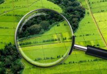 Где на Борисовщине есть свободные земельные участки