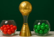 «Борисов-900» узнал кубкового соперника