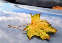 В промышленных городах Беларуси снизились выбросы загрязняющих веществ в атмосферный воздух