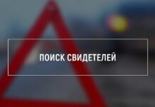 ГАИ ищет свидетелей