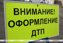 Мотоциклист погиб при столкновении с лосем в Глусском районе