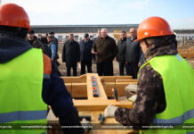 Александру Лукашенко представили проект опытного строительства МТК из деревянных конструкций