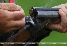 В Беларуси открывается сезон охоты на пушных зверей