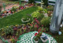 Один из этапов работы Борисовского завода медпрепаратов в Год благоустройства