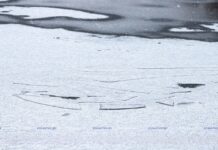 Первый лед. ОСВОД напоминает правила безопасности