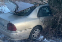В Дубровенском районе в ДТП с диким животным погиб водитель