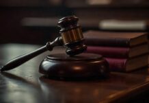 Сокрытие падежа и присвоение вверенного имущества сельхозпредприятий Оршанского района