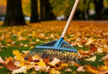 «ФОТОсубботник»: районная газета «Адзінства» приглашает борисовчан поучаствовать в конкурсе за приз