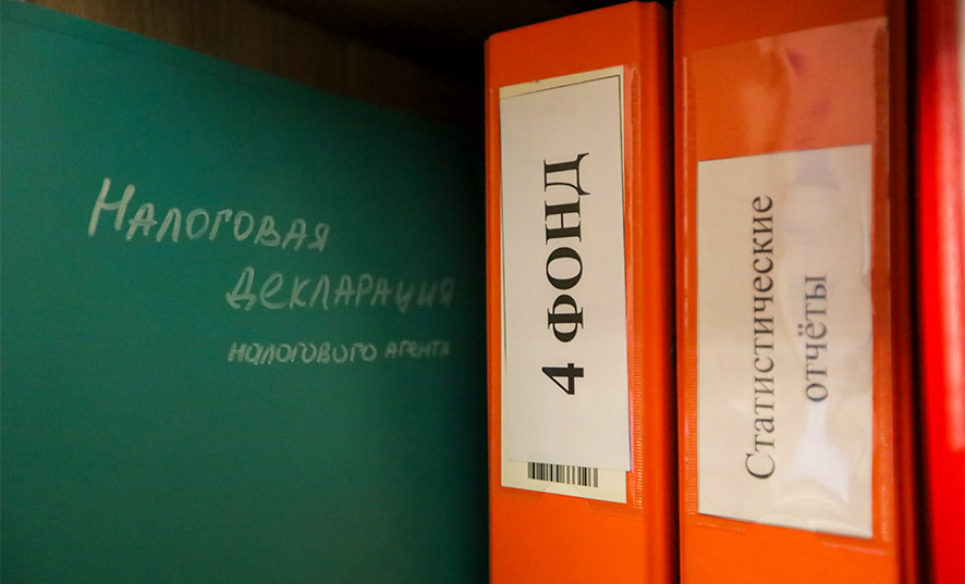 Nalogovaya_deklaratsiya_ekonomika