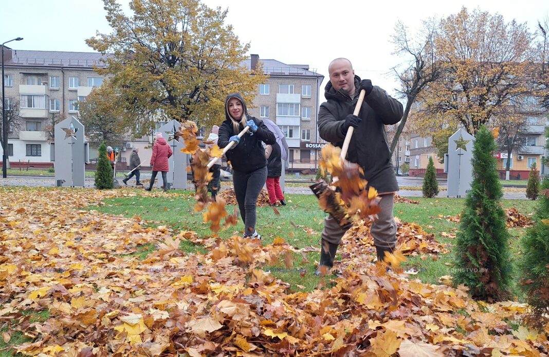 Photo_1761382418208