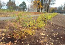 Борисовский завод «Металлист» активно участвует в благоустройстве города