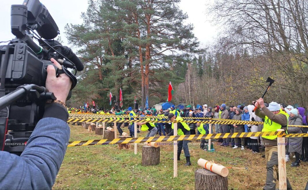 photo_2024-11-07_16-41-21