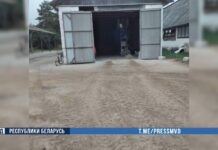 Чем закончилось мошенничество гомельчанина на Борисовщине