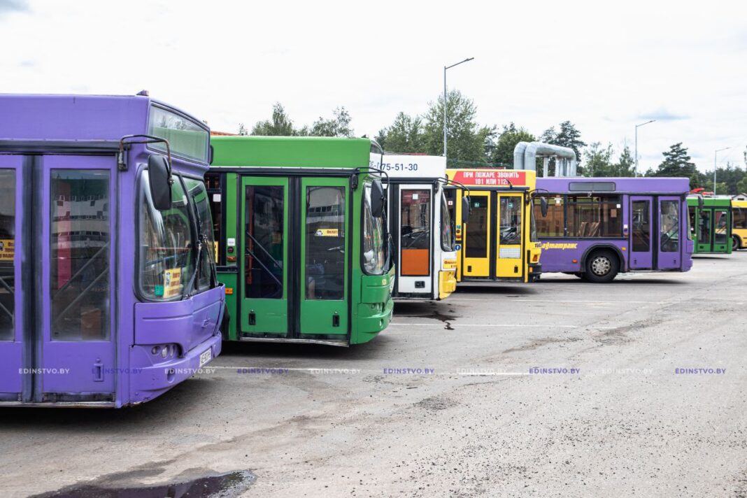 photo_2025-10-31_12-52-31 (2)