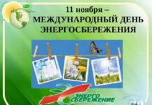 К Международному дню энергосбережения в республике стартовала акция «Беларусь – энергоэффективная страна».