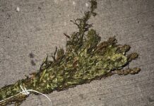 Житель Борисовского района пытался избавиться от наркотиков во время задержания