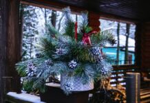 На Борисовщине пройдет традиционный смотр-конкурс на лучшее новогоднее оформление