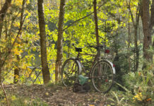 Осень глазами и стихами главного редактора «Адзінства». Фоторепортаж