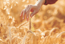 ОАО «Здравушка-милк» поздравляет с Днем работников сельского хозяйства и перерабатывающей промышленности агропромышленного комплекса