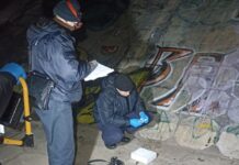 Жестокое убийство под мостом через Березину: подробности расследования