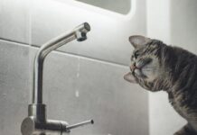 Где в Борисове завтра будет отсутствовать водоснабжение?