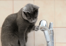 5 декабря в Неманице и в Борисове на улице Ленинской 32А будет отсутствовать водоснабжение